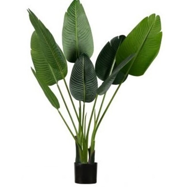 Woood Strelitzia kunstplant groen 108 of 164 cm