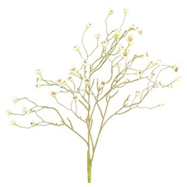 Countryfield Kunsttak Prunus Mume S wit