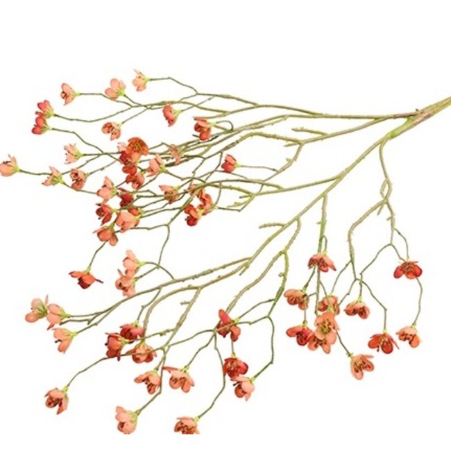 Countryfield Kunsttak Prunus Mume S rood