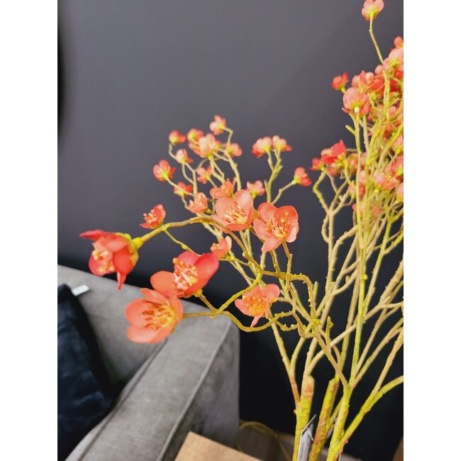 Countryfield Kunsttak Prunus Mume S rood