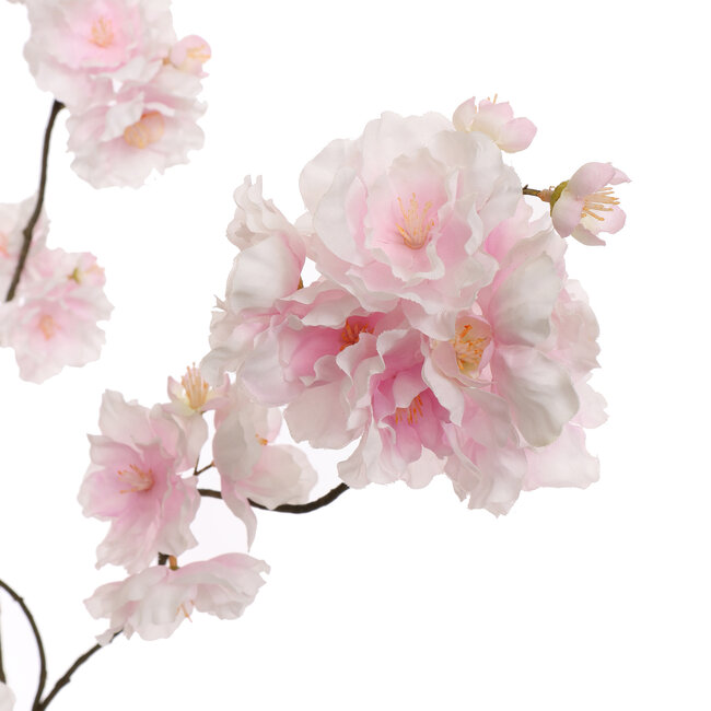 Pure Kunsttak Kanzan Bloesem licht roze