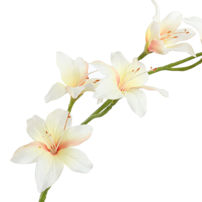 Pure Kunsttak zwaardlelie crème 95 cm