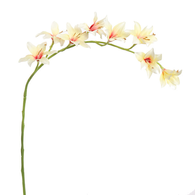 Pure Kunsttak zwaardlelie crème 95 cm