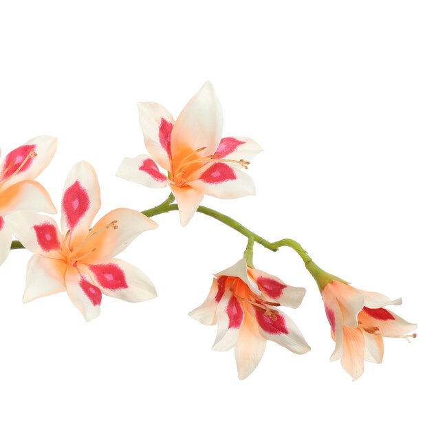 Pure Kunsttak zwaardlelie peach 95 cm