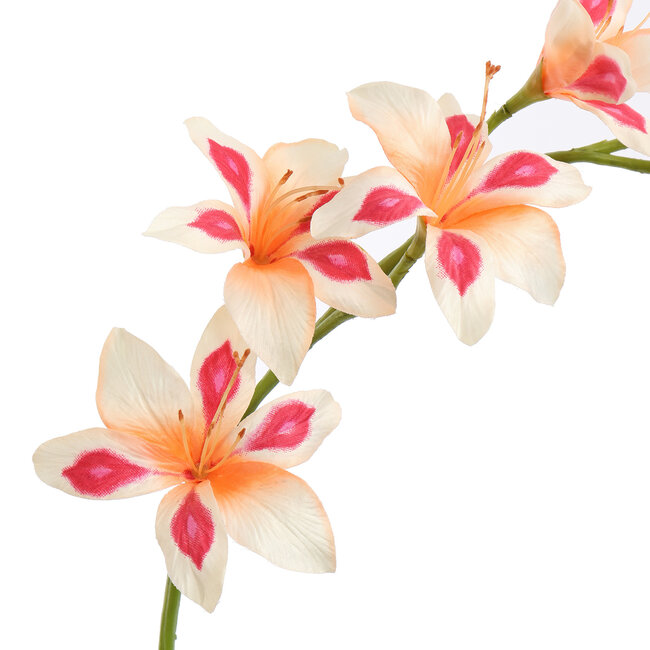 Pure Kunsttak zwaardlelie peach 95 cm