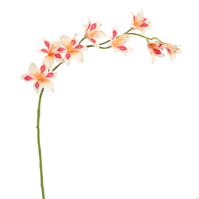 Pure Kunsttak zwaardlelie peach 95 cm