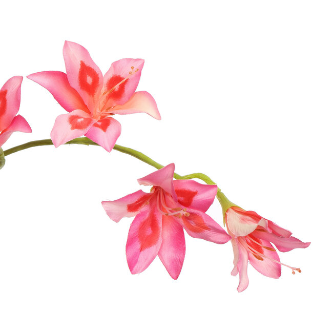 Pure Kunsttak zwaardlelie roze 95 cm