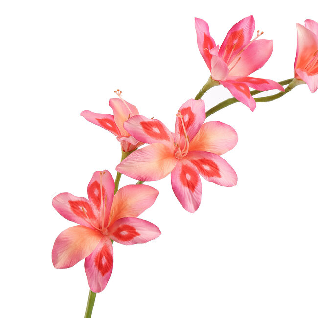 Pure Kunsttak zwaardlelie roze 95 cm