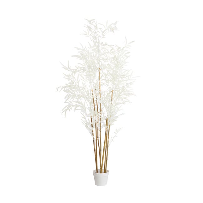 Light en Living Ornament in pot 70x60x150 cm BAMBOO naturel+crème