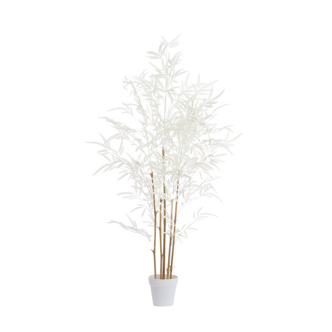 Light en Living Ornament in pot 70x60x120 cm BAMBOO naturel+crème