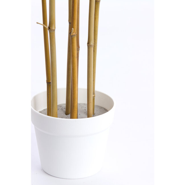 Light en Living Ornament in pot 70x60x90 cm BAMBOO  naturel+crème