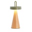 Light en Living Tafellamp LED Ø13x28,5 cm ANKENTA olijf groen+hout naturel
