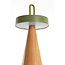 Light en Living Tafellamp LED Ø13x28,5 cm ANKENTA olijf groen+hout naturel