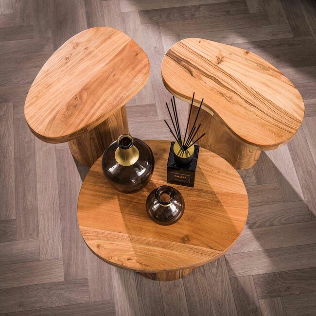 WoonStijl Salontafel Shape set van 3 acacia