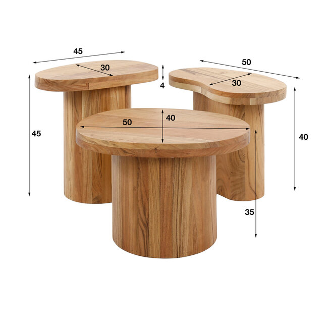 WoonStijl Salontafel Shape set van 3 acacia