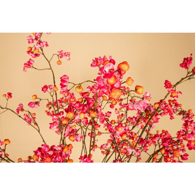 PTMD Kunsttak Euponymous roze en oranje