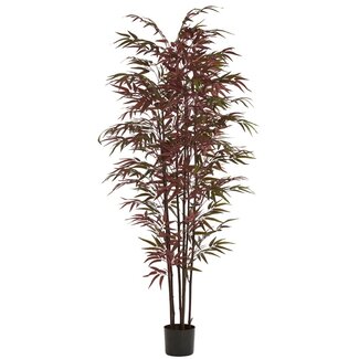 Light en Living Ornament in pot 70x60x180 cm BAMBOO naturel+groen/rood
