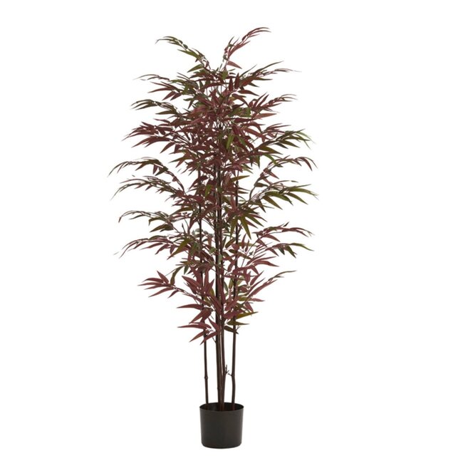 Light en Living Ornament in pot 70x60x150 cm BAMBOO naturel+groen/rood