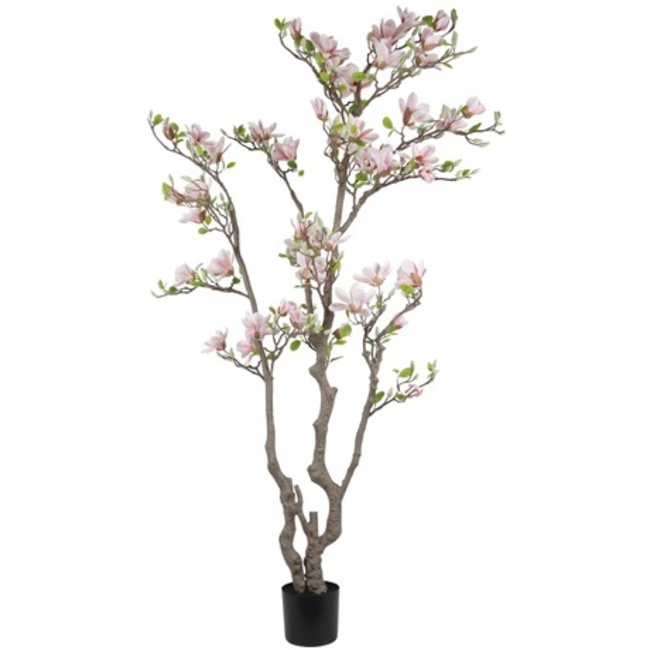Countryfield Kunstplant Magnolia L roze / wit - 220 cm hoog