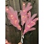 Light & Living Ornament LED 110 cm FEATHER rood / roze