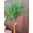 Light en Living Ornament LED 110 cm FEATHER donker groen
