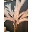 Light & Living Ornament LED 110 cm FEATHER roze