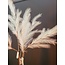 Light en Living Ornament LED 110 cm FEATHER wit