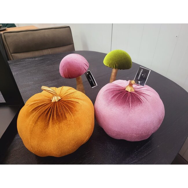 Countryfield Pompoen Pumpa L oranje / bruin