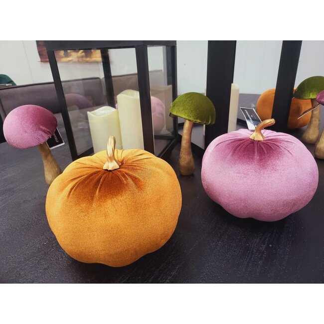 Countryfield Pompoen Pumpa L lila / roze