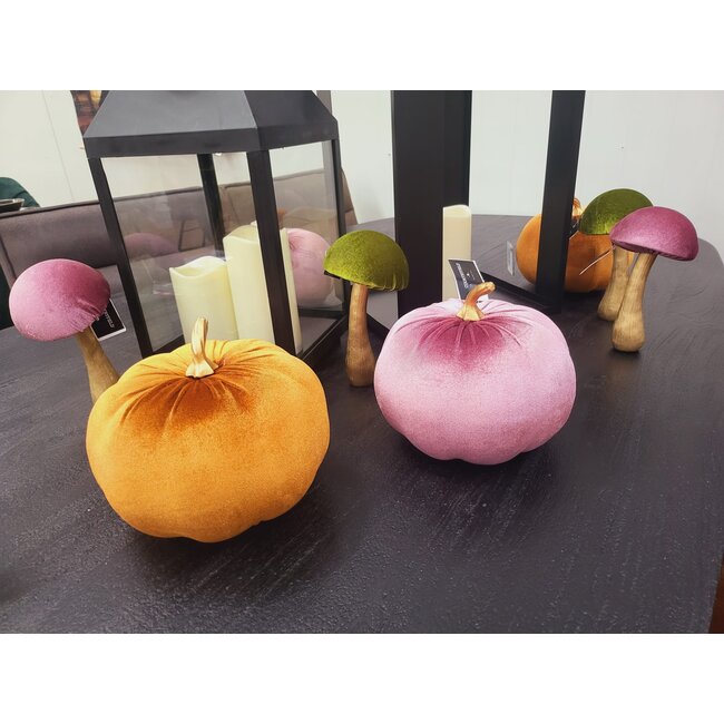 Countryfield Pompoen Pumpa L lila / roze