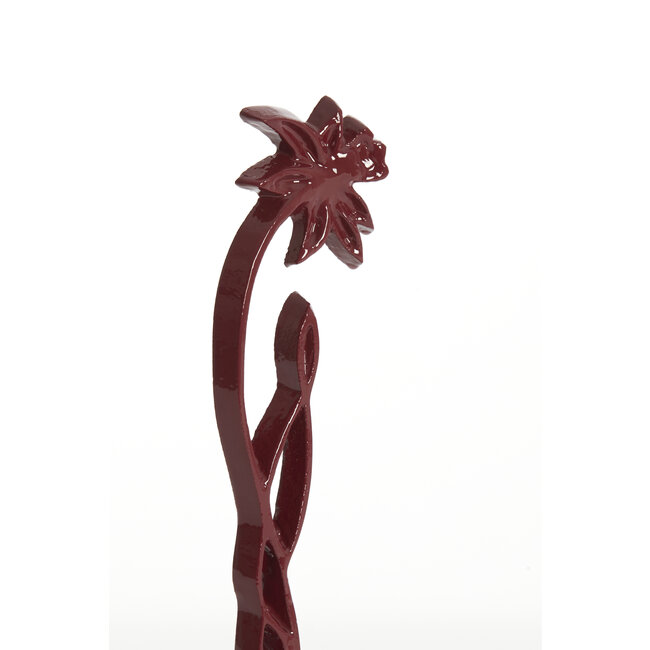 Light en Living Ornament op voet 13x8x30 cm DAFFODIL  glans bordeaux