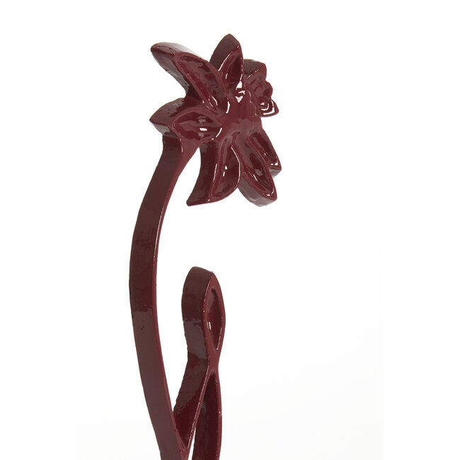 Light en Living Ornament op voet 12x7,5x40 cm DAFFODIL glans bordeaux
