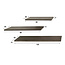 WoonStijl Wandschap Ferro set van 3