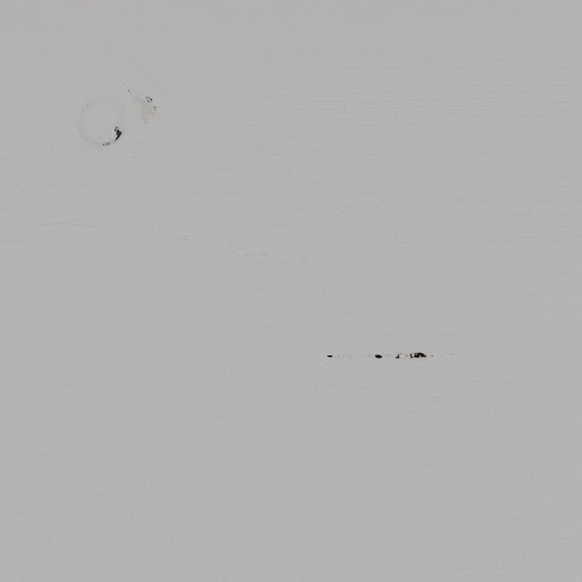 Woood PENCIL TV meubel grenen mist [fsc]