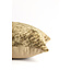 Light & Living Kussen 60x30 cm RUHLA groen