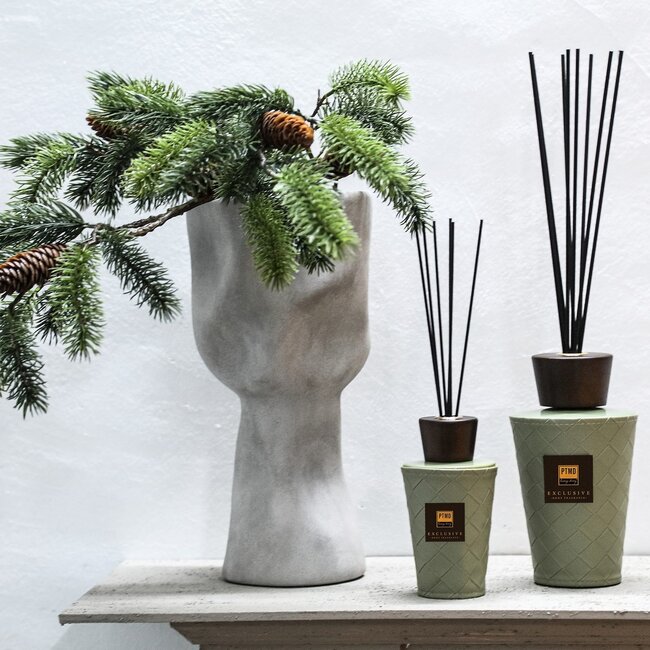 PTMD Geurstokjes PTMD Exclusive black forest 300ml