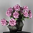 PTMD Kunstbloem Dahlia Paars