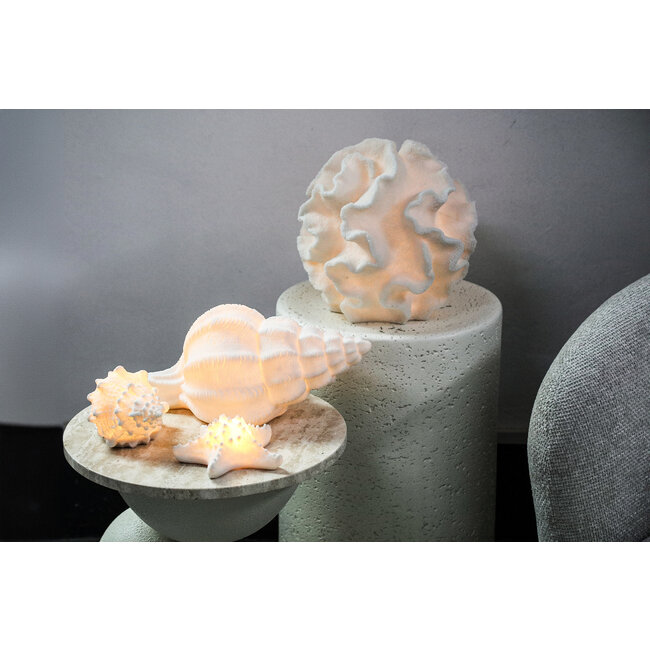 PTMD Tafellamp Graeme Wit Zeester sea star shaped LED lamp S