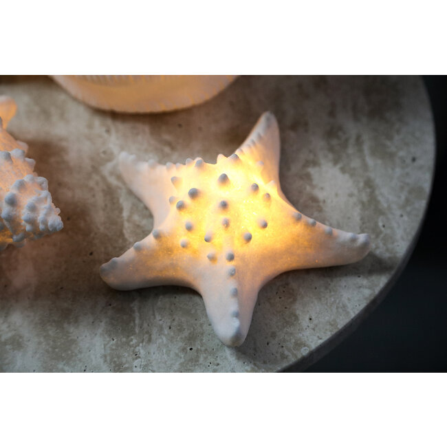 PTMD Tafellamp Graeme Wit Zeester sea star shaped LED lamp S