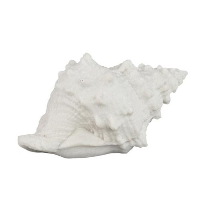 PTMD Tafellamp Graeme Wit Schelp S