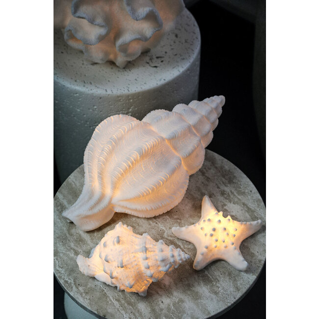 PTMD Tafellamp Graeme Wit Schelp S