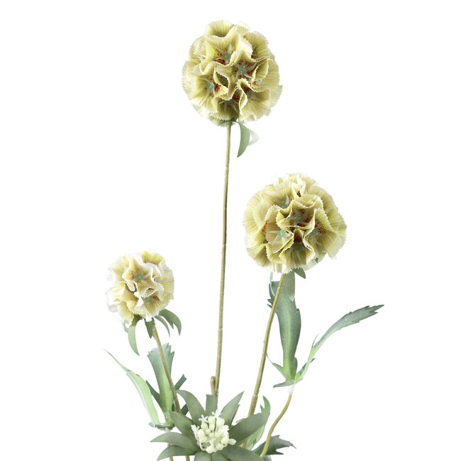 PTMD Kunsttak Groen Scabiosa