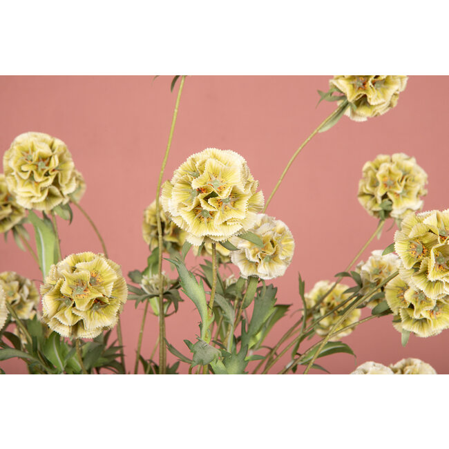 PTMD Kunsttak Groen Scabiosa