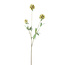 PTMD Kunsttak Groen Scabiosa