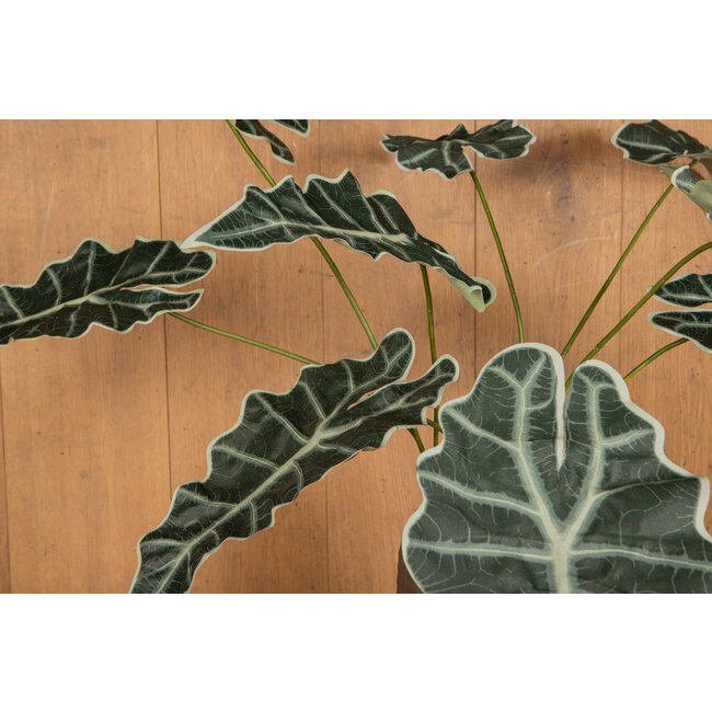 PTMD Kunsttak Groen Alocasia bladeren
