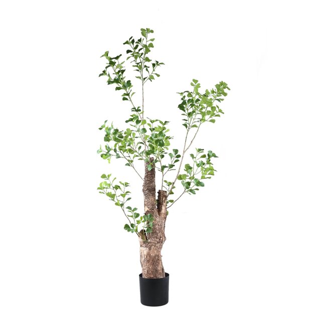 PTMD Kunstplant Groen Triangularis in pot 180cm