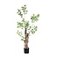 PTMD Kunstplant Groen Triangularis in pot 180cm