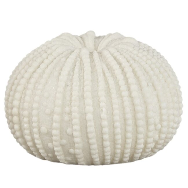 PTMD Tafellamp Graeme Wit Zeeëgel