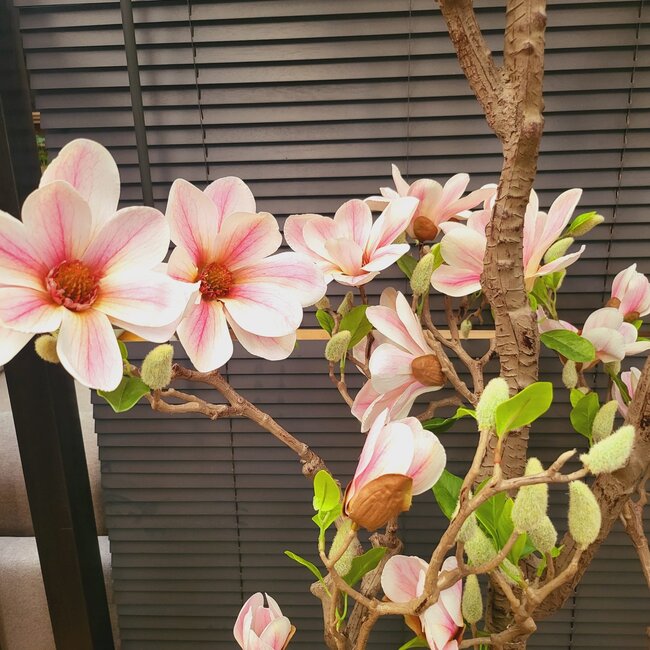 Countryfield Kunstplant Magnolia L roze / wit - 220 cm hoog