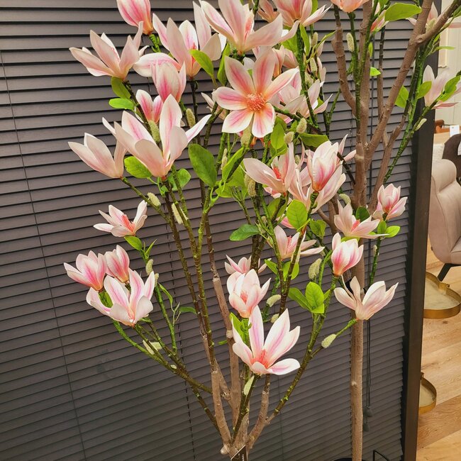 Countryfield Kunstplant Magnolia Loebneri S roze / wit - 120 cm